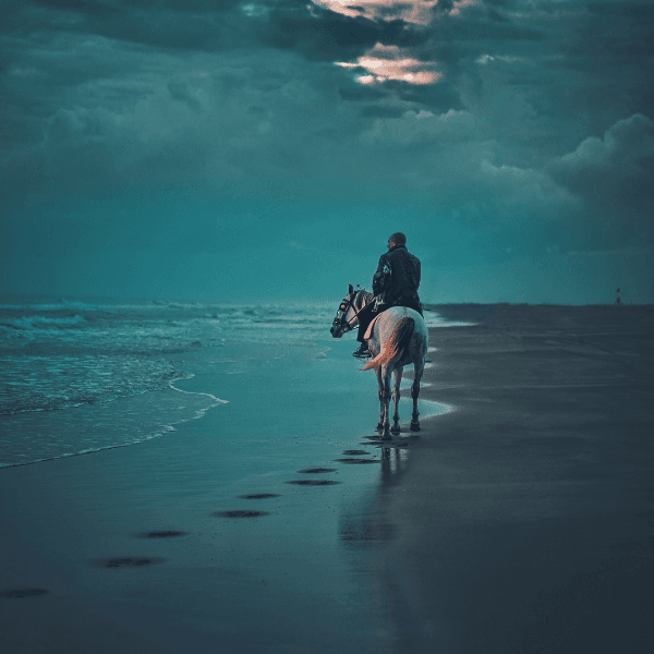 باشگاه سوارکاری آذرخش